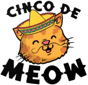 a cinco de meow cat